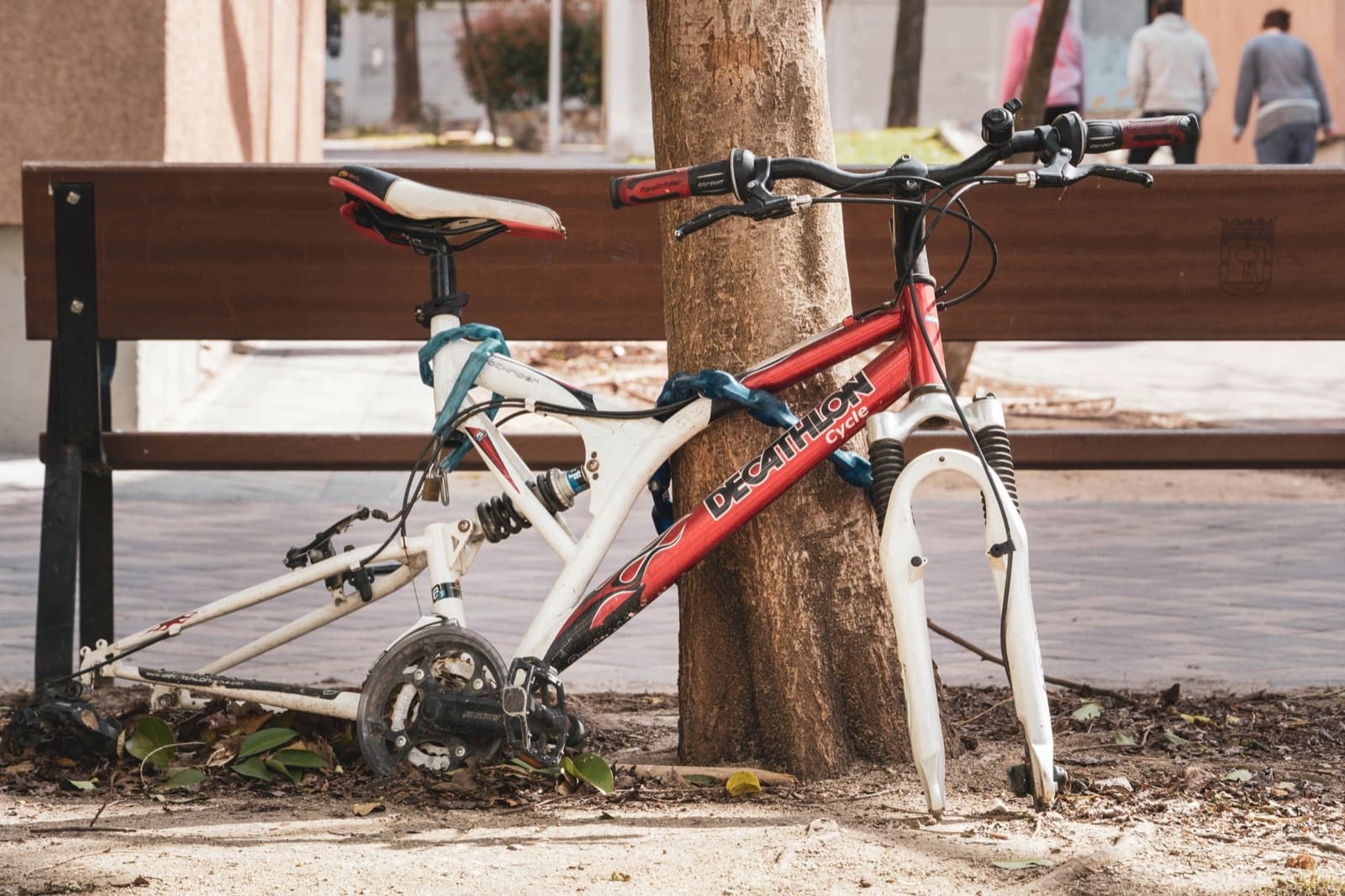 Cadre de vélo dépouillé de ses roues, resté attaché à un arbre par une chaîne