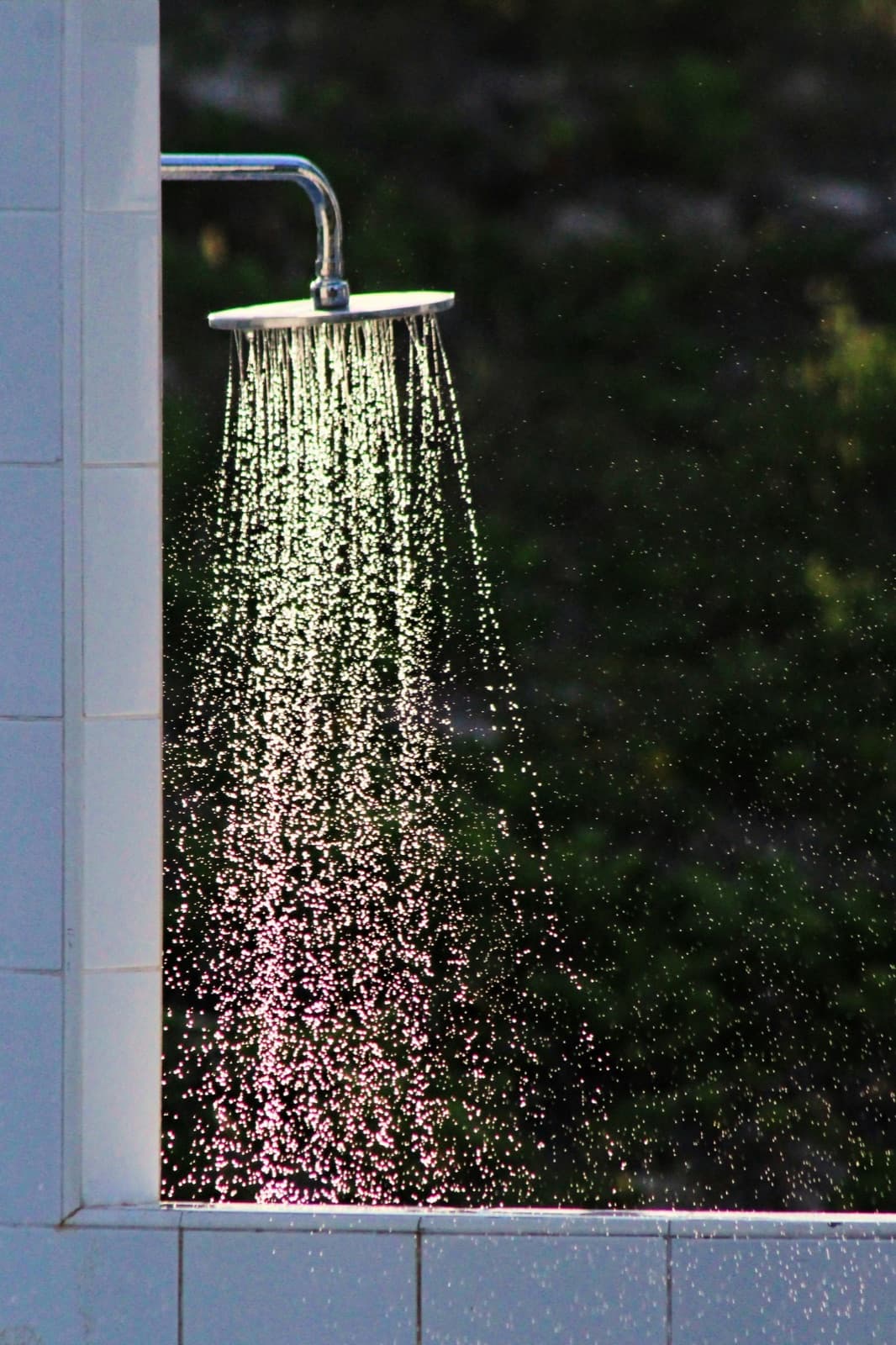 Pommeau de douche d’où l’eau ruisselle en gouttelettes à contre-jour