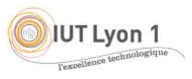 IUT Lyon 1